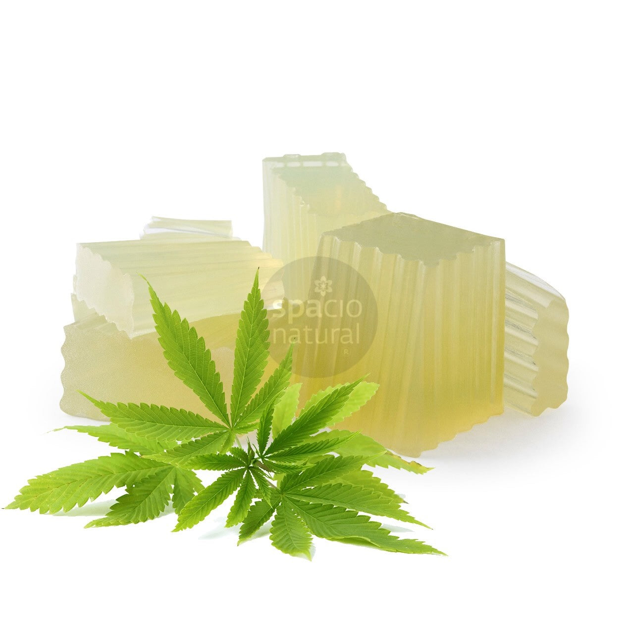 Base Jabon Aceite Semilla Cannabis. 1 Kilo