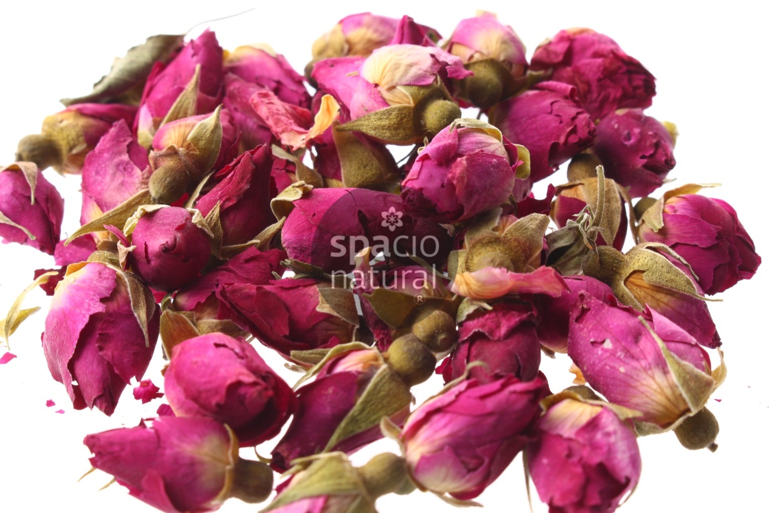 Capullitos de Rosas 15 unidades