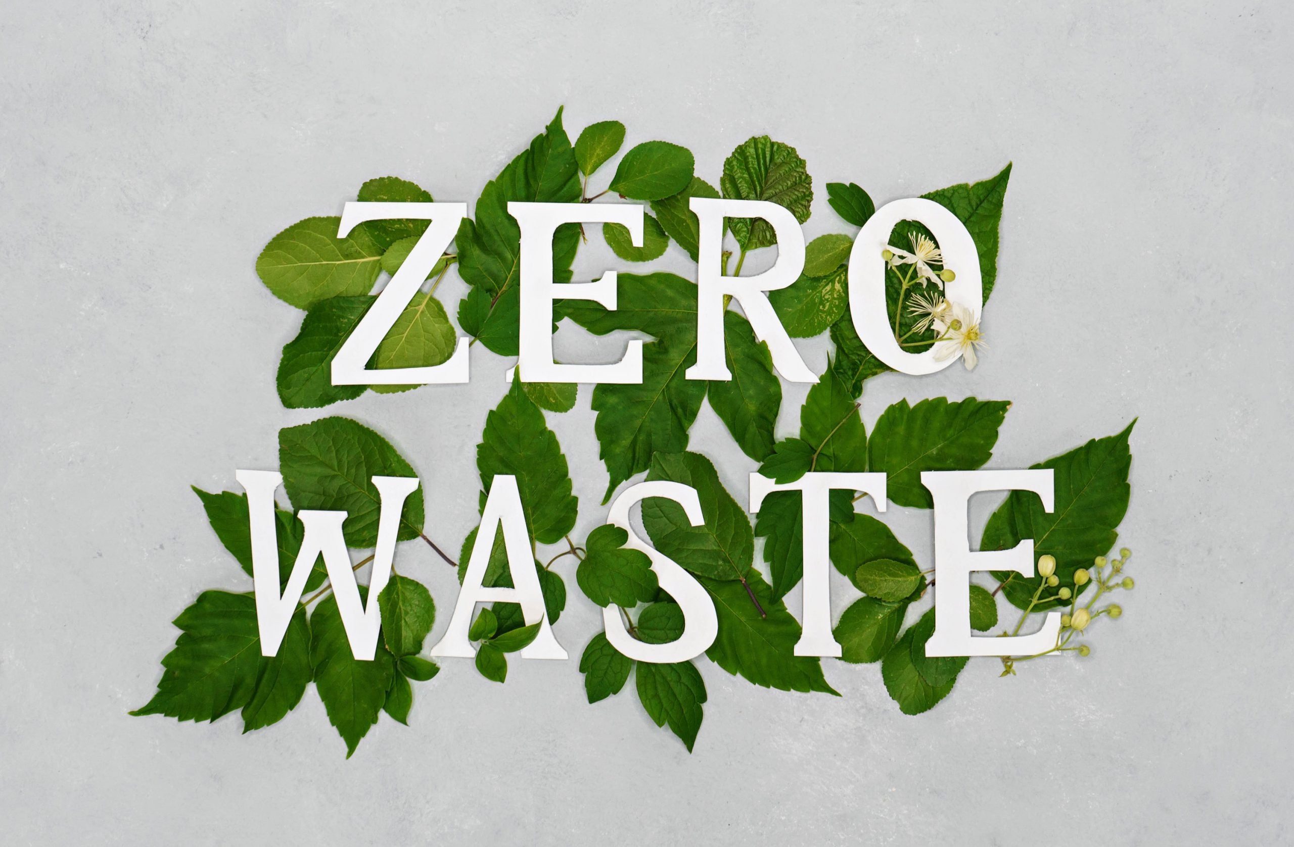 zero waste