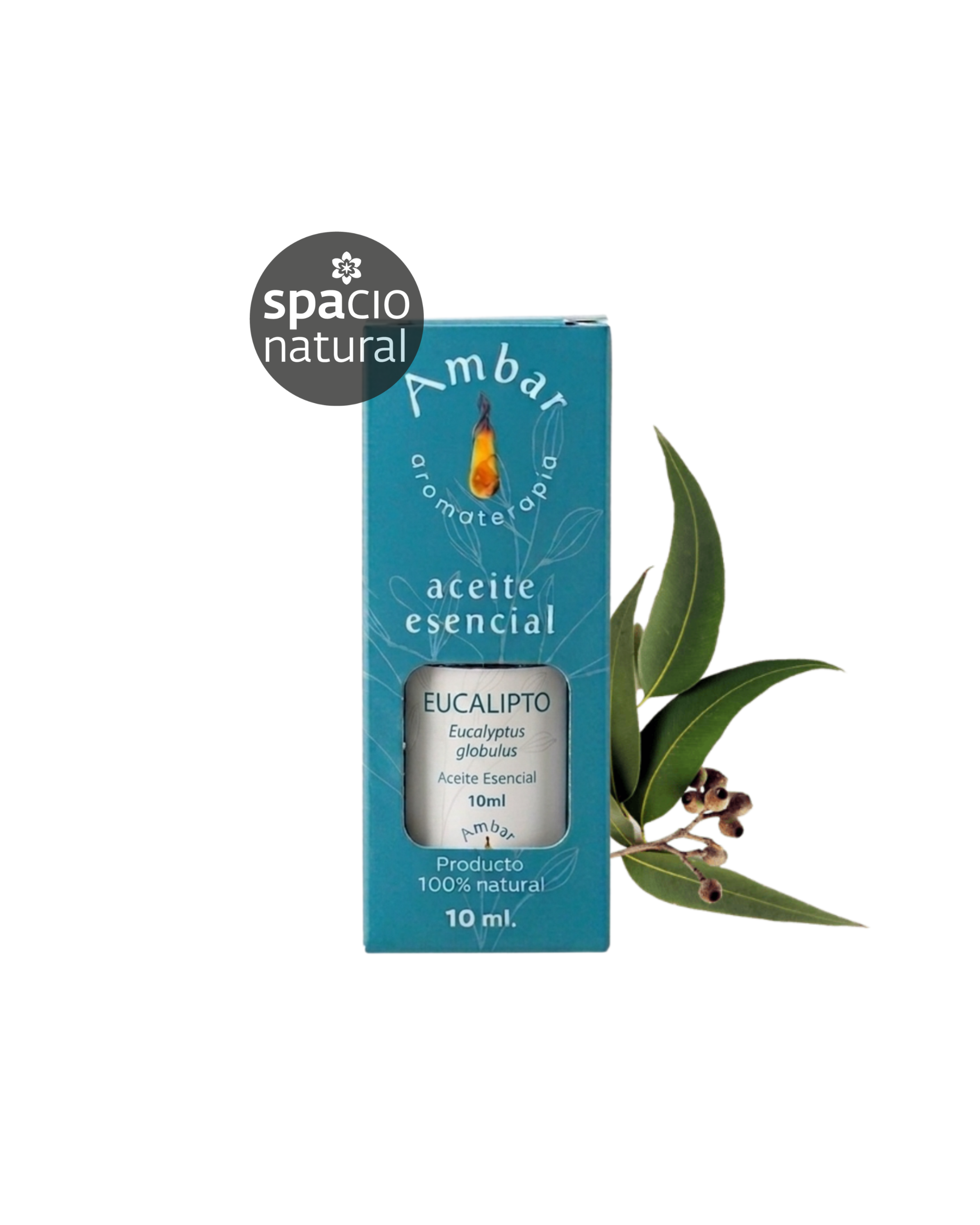Aceite Esencial Eucalipto 10 ml - Ámbar