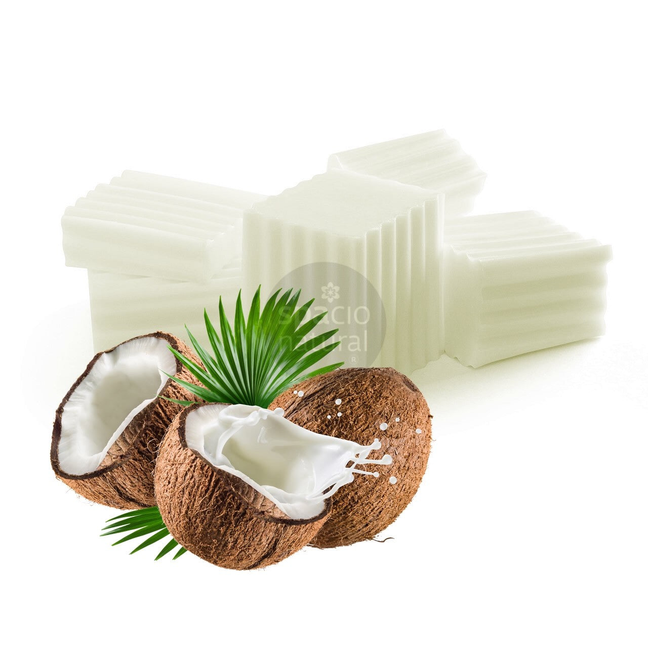 Base Coco Natural Plus 1Kg.